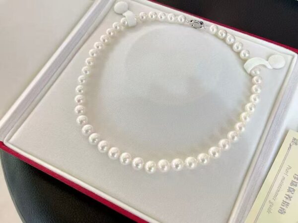 Super Premium Pearl Necklace - Image 3